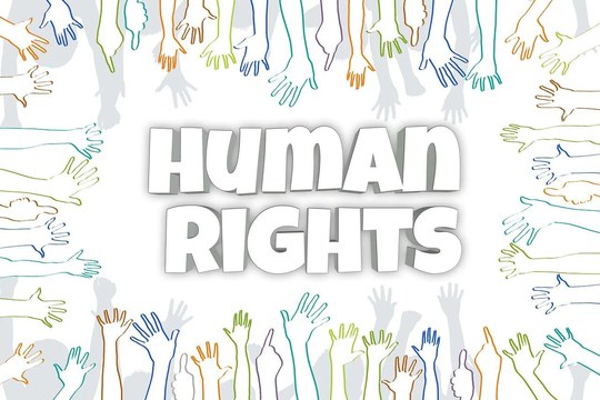 Decreto approvazione atti bando per borsa di ricerca "Domestic Implementation of International Human Rights Law: the Role of Multi- Institutional Cooperation in the Italian Context"